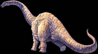 A picture of one of the largest dinosaurs.