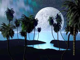 A night scene of a full moon risen above the sea behind a shore of palm trees.